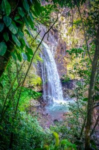 שימור דיגיטלי: לכידת תלת־ממד של המערכות האקולוגיות הנסתרות של מקסיקו